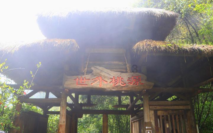 徐家汇商圈年味正浓,邀你一起“寻龙”过大年!|爱申活暖心春