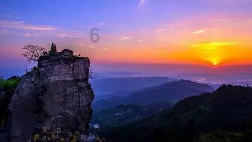 逃离未知丛林